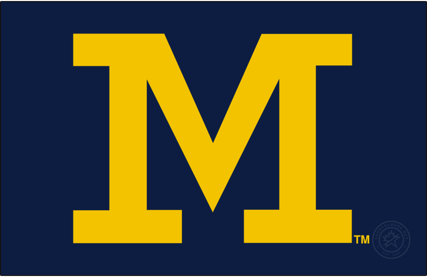 Michigan Wolverines 2016-Pres Secondary Logo v4 t shirts iron on transfers